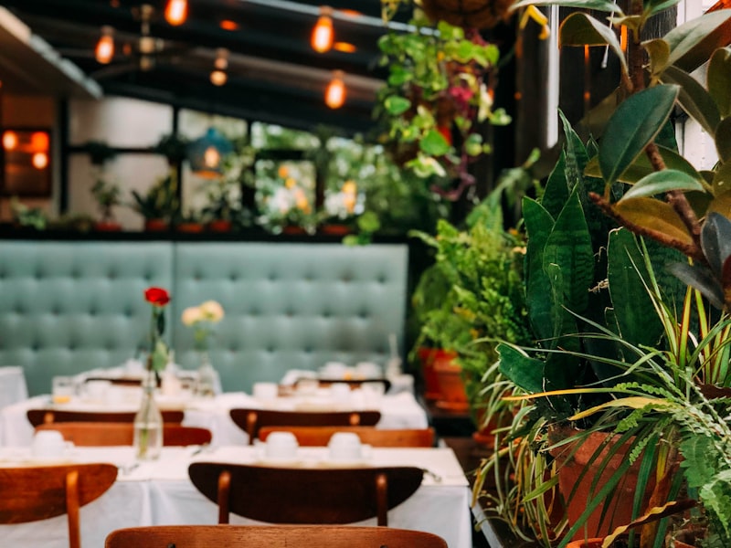 Food plating artistic